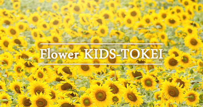 FLOWER KIDS-TOKEI ～SUNFLOWER～　キッズ時計