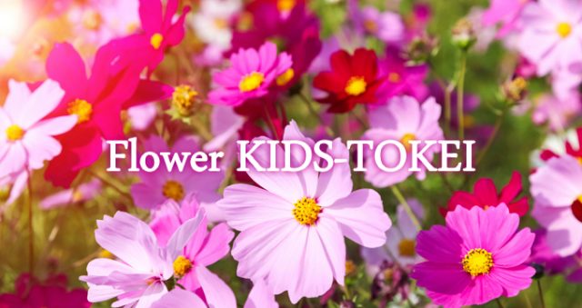 「Flower KIDS-TOKEI ～cosmos～（キッズ時計）」キッズモデル募集