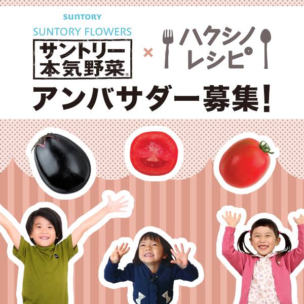 「ハクシノレシピ×サントリー本気野菜」アンバサダー