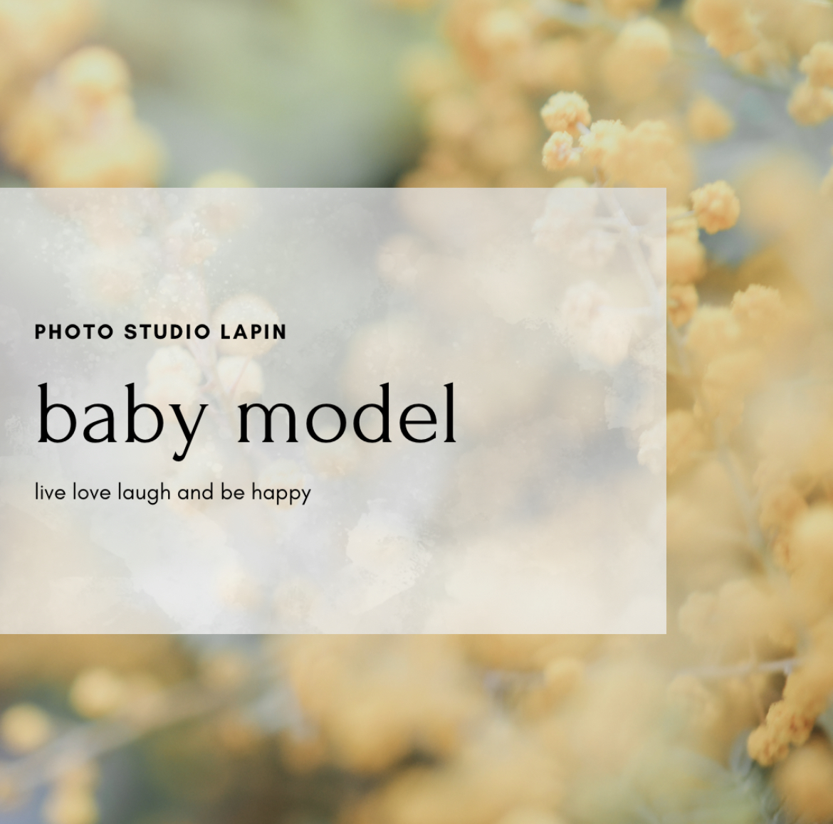 Photo studio Lapin ベビーモデル募集[6ヶ月-12ヶ月]｜神奈川